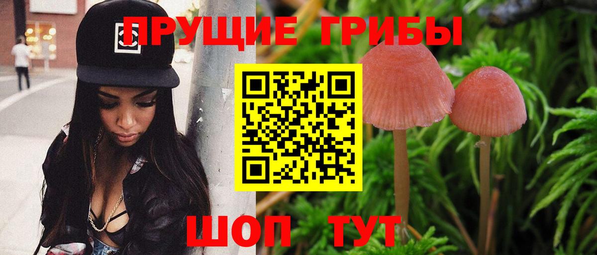 Галлюциногенные грибы Magic Shrooms Кузнецк