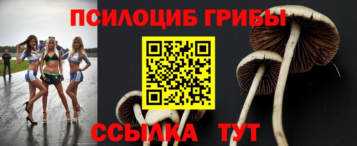 Кузнецк  Псилоцибиновые грибы мицелий  Вход с VPN  Галлюциногенные грибы прущие грибы 